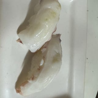 Octopus (N)