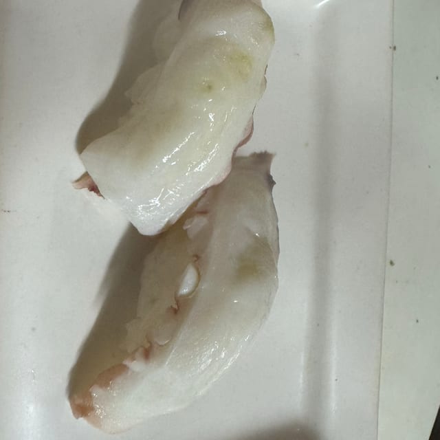 Octopus (N).